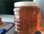 �����G���A�^�خa(ch��n)